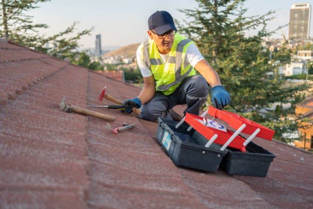 Best Dumpster Rental Services  in Big Pine, CA